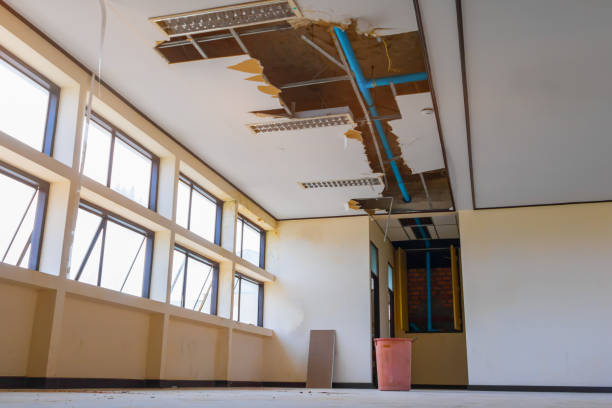 Best Basement water damage restoration  in Tequesta, FL