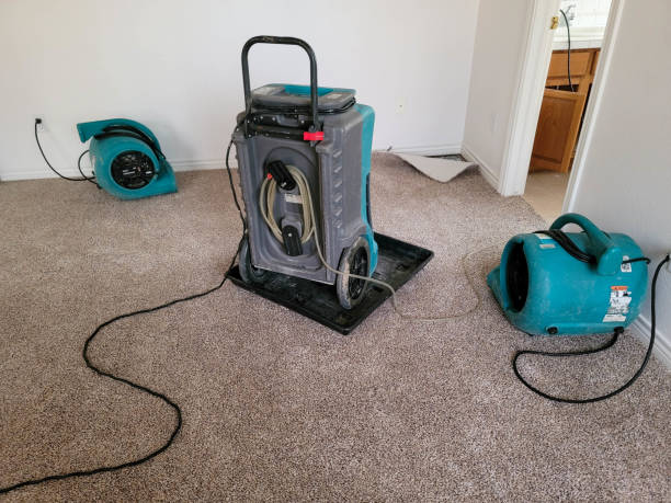 24/7 water damage repair in Tequesta, FL