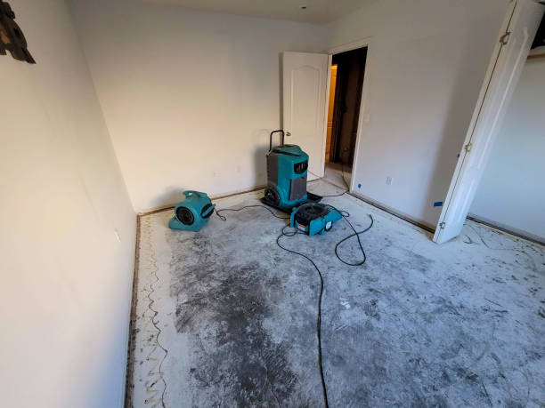 Best Emergency water damage restoration  in Tequesta, FL