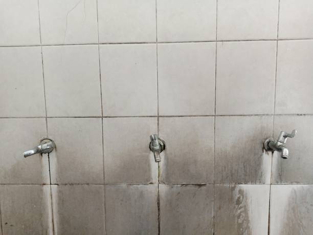 Best Carpet water damage restoration  in Tequesta, FL